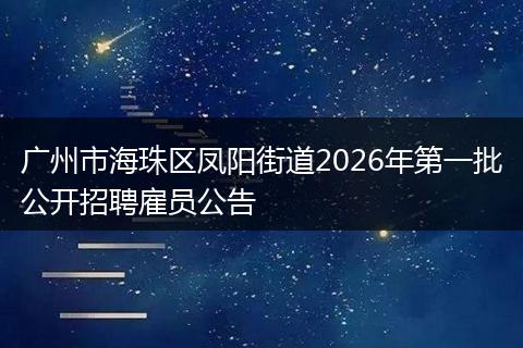广州市海珠区凤阳街道2026年第一批公开招聘雇员公告