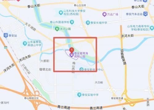 2026泰安岱岳区春风行动现场招聘会