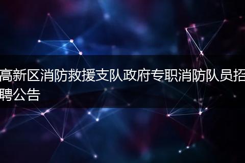 高新区消防救援支队政府专职消防队员招聘公告