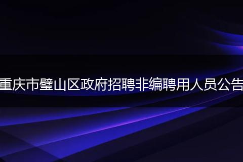 重庆市璧山区政府招聘非编聘用人员公告