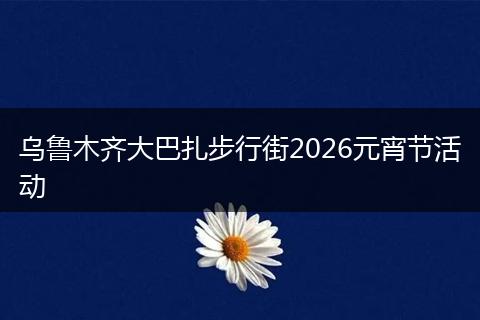 乌鲁木齐大巴扎步行街2026元宵节活动