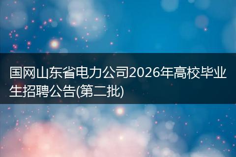 国网山东省电力公司2026年高校毕业生招聘公告(第二批)