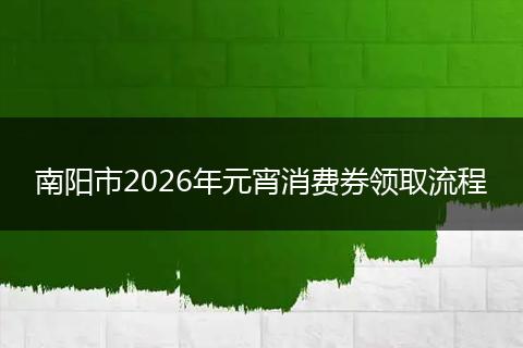 南阳市2026年元宵消费券领取流程