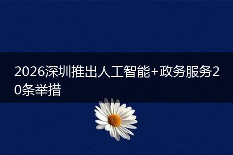 2026深圳推出人工智能+政务服务20条举措