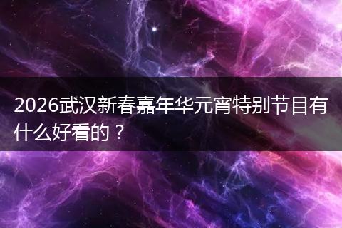 2026武汉新春嘉年华元宵特别节目有什么好看的？