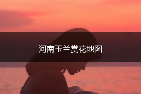 河南玉兰赏花地图