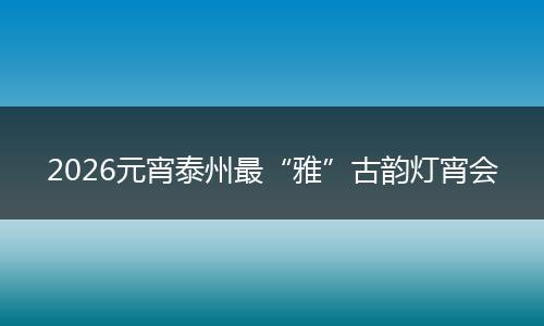 2026元宵泰州最“雅”古韵灯宵会