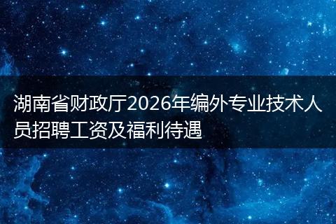 湖南省财政厅2026年编外专业技术人员招聘工资及福利待遇