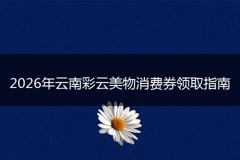 2026年云南彩云美物消费券领取指南