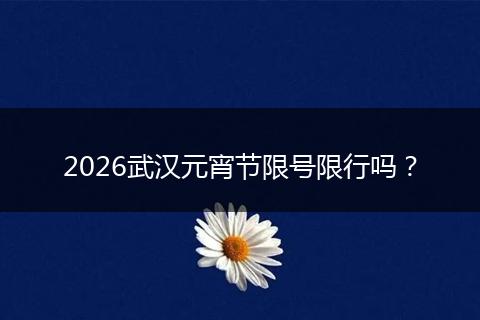 2026武汉元宵节限号限行吗？