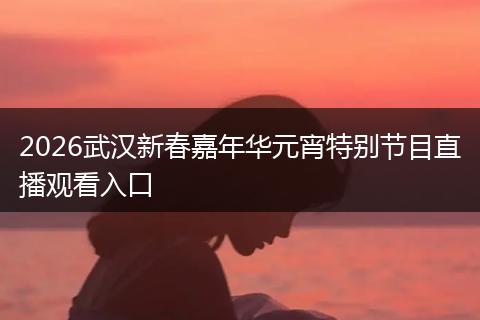 2026武汉新春嘉年华元宵特别节目直播观看入口