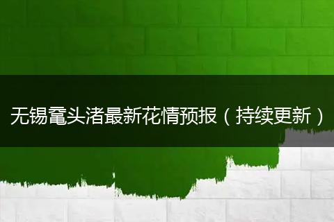 无锡鼋头渚最新花情预报（持续更新）