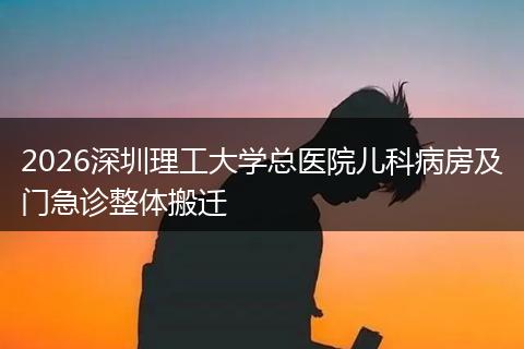 2026深圳理工大学总医院儿科病房及门急诊整体搬迁
