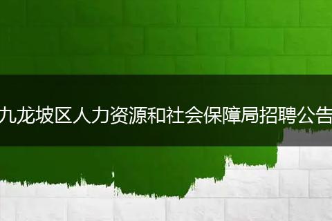 九龙坡区人力资源和社会保障局招聘公告