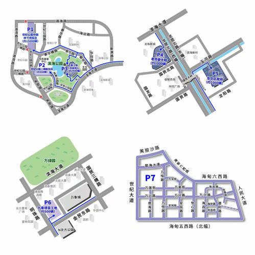 2026海口元宵烟花秀停车指南（自驾+电动车）