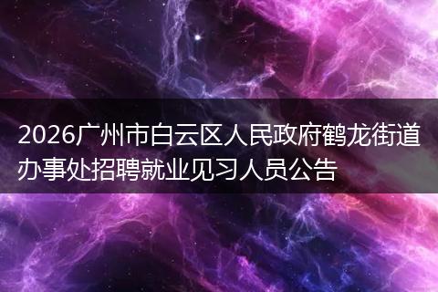 2026广州市白云区人民政府鹤龙街道办事处招聘就业见习人员公告