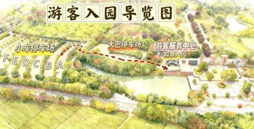 2026南昌凤凰沟景区樱花季活动攻略（时间+内容）