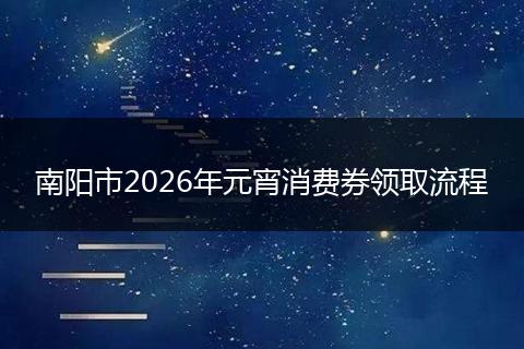 南阳市2026年元宵消费券领取流程