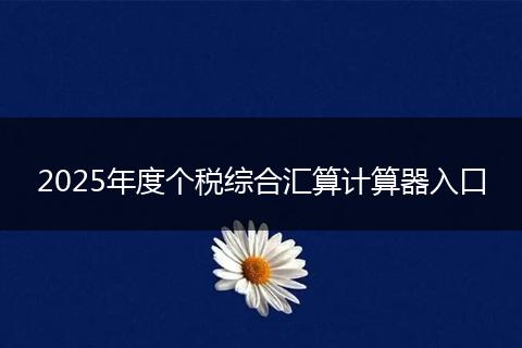 2025年度个税综合汇算计算器入口