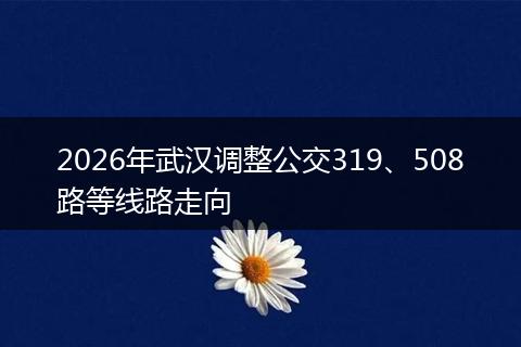 2026年武汉调整公交319、508路等线路走向