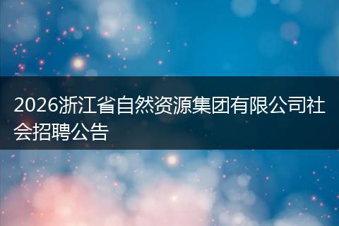 2026浙江省自然资源集团有限公司社会招聘公告