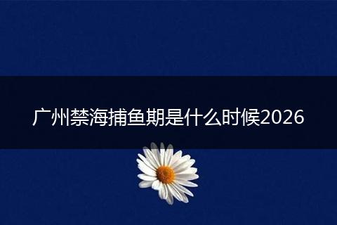 广州禁海捕鱼期是什么时候2026