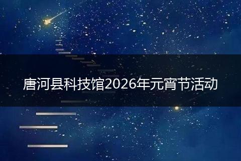 唐河县科技馆2026年元宵节活动