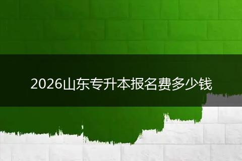 2026山东专升本报名费多少钱