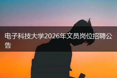 电子科技大学2026年文员岗位招聘公告
