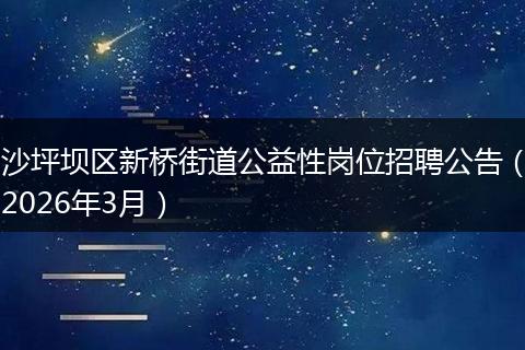 沙坪坝区新桥街道公益性岗位招聘公告（2026年3月）