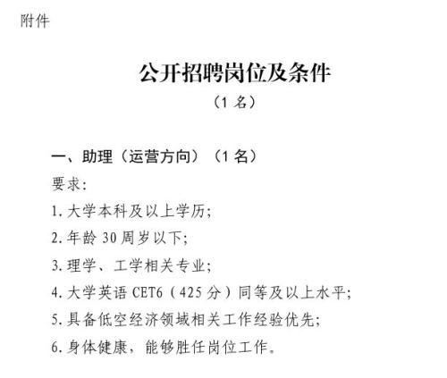 2026湖北省低空综合服务有限责任公司招聘助理1人