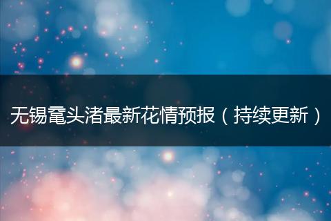 无锡鼋头渚最新花情预报（持续更新）