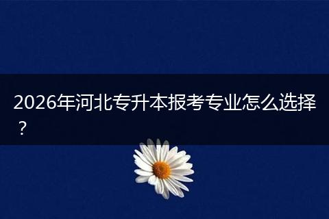 2026年河北专升本报考专业怎么选择？