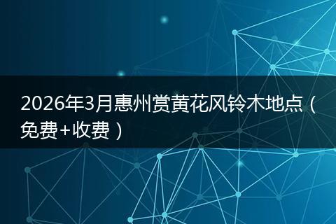 2026年3月惠州赏黄花风铃木地点（免费+收费）