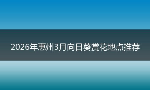 2026年惠州3月向日葵赏花地点推荐