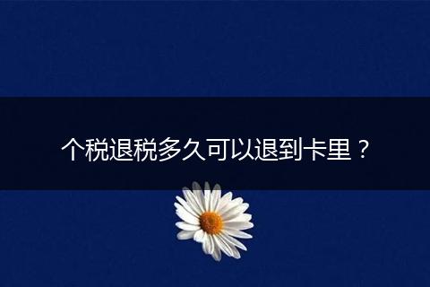 个税退税多久可以退到卡里？