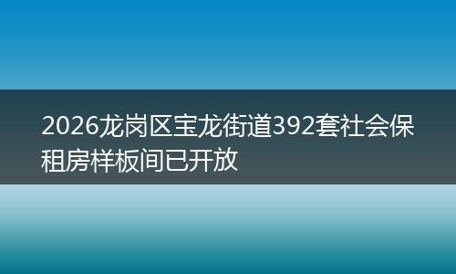 2026龙岗区宝龙街道392套社会保租房样板间已开放