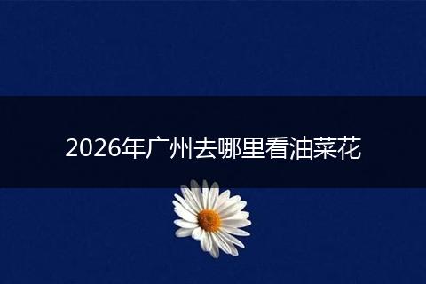2026年广州去哪里看油菜花