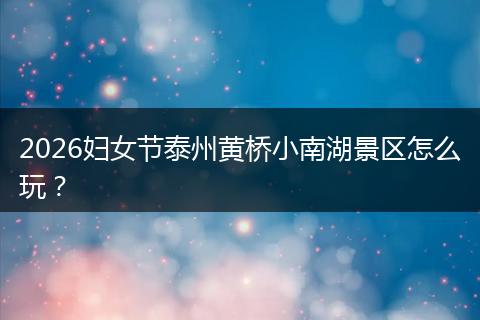 2026妇女节泰州黄桥小南湖景区怎么玩？