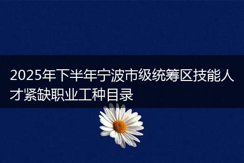 2025年下半年宁波市级统筹区技能人才紧缺职业工种目录