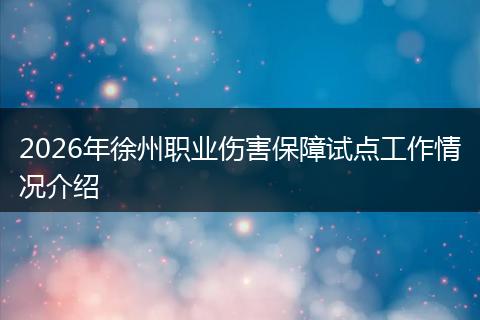 2026年徐州职业伤害保障试点工作情况介绍