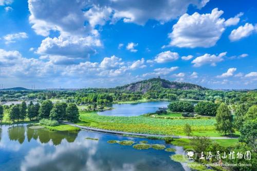 上海辰山植物园2026三八妇女节门票半价优惠
