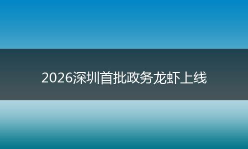 2026深圳首批政务龙虾上线