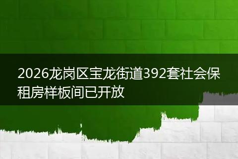 2026龙岗区宝龙街道392套社会保租房样板间已开放