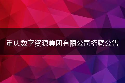 重庆数字资源集团有限公司招聘公告