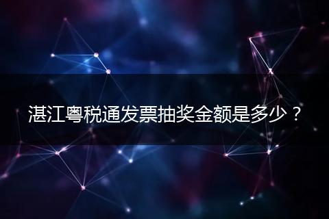 湛江粤税通发票抽奖金额是多少？