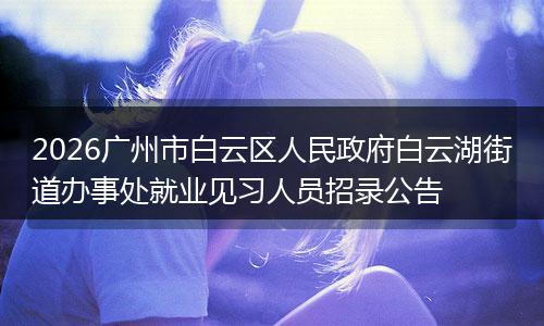 2026广州市白云区人民政府白云湖街道办事处就业见习人员招录公告