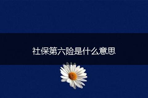 社保第六险是什么意思