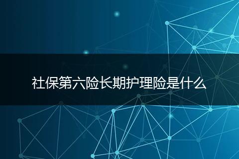 社保第六险长期护理险是什么