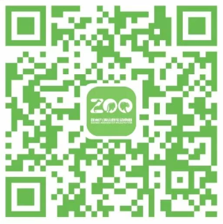 2026年徐州妇女节活动汇总（持续更新）